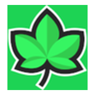 Ivy Casino logo